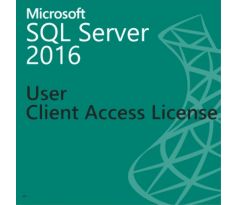 Microsoft SQL Server Standard 2016 - 1 User CAL OLP Volume Licencie