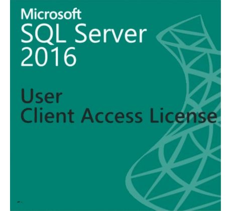 Microsoft SQL Server Standard 2016 - 1 User CAL