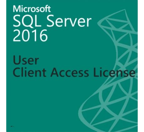 Microsoft SQL Server Standard 2016 - 1 User CAL OLP Volume Licencie