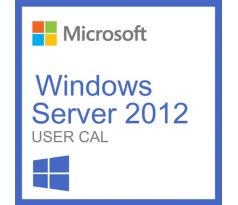 Windows Server 2012 R2 - 1 User CAL