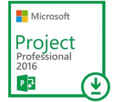 Microsoft Project 2016 Professional