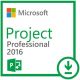 Microsoft Project 2016 Professional