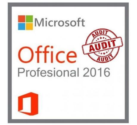 office 2016 professional