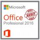 office 2016 professional