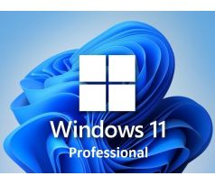 Microsoft Windows 11 Professional 64 bit FQC-10538, nová licencia