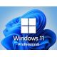 Microsoft Windows 11 Professional 64 bit FQC-10538, nová licencia