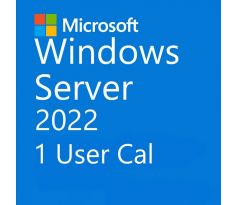 Microsoft Windows Server 2022 1 User CAL