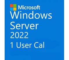 Microsoft Windows Server 2022 1 User CAL OLP Volume Licencie