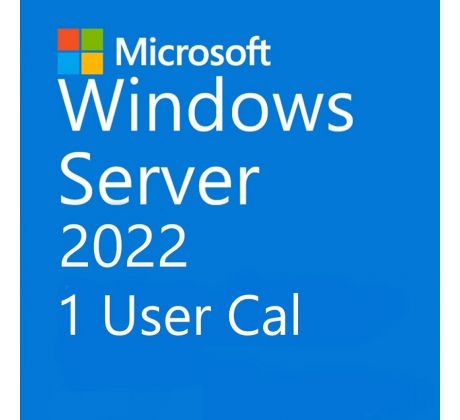 Microsoft Windows Server 2022 1 User CAL