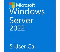 Microsoft Windows Server 2022 5 User CAL