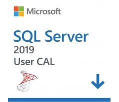 Microsoft SQL Server 2019 1 User CAL OLP Volume Licencie