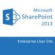 SharePoint Server 2013 Enterprise User CAL