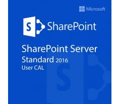 Microsoft SharePoint Server 2016 Standard User CAL