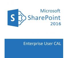 Microsoft SharePoint Server 2016 Enterprise User CAL