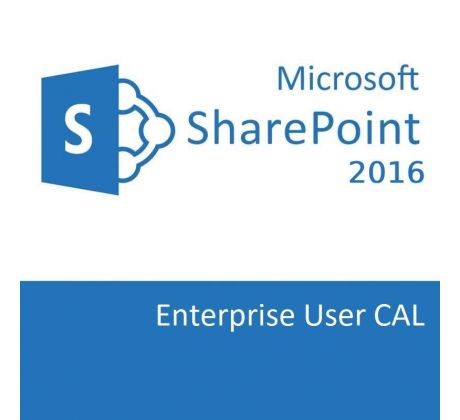 Microsoft SharePoint Server 2016 Enterprise User CAL