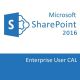 Microsoft SharePoint Server 2016 Enterprise User CAL