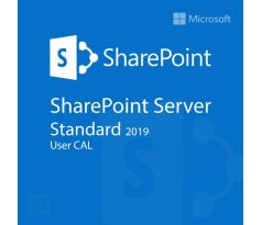 Microsoft SharePoint Server 2019 Standard User CAL