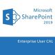 Microsoft SharePoint Server 2019 Enterprise User CAL