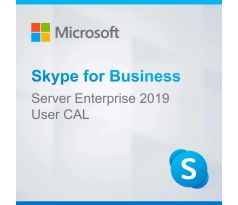 Microsoft Skype for Business Server 2019 Enterprise User CAL